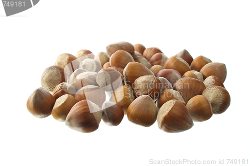 Image of Hazel nuts