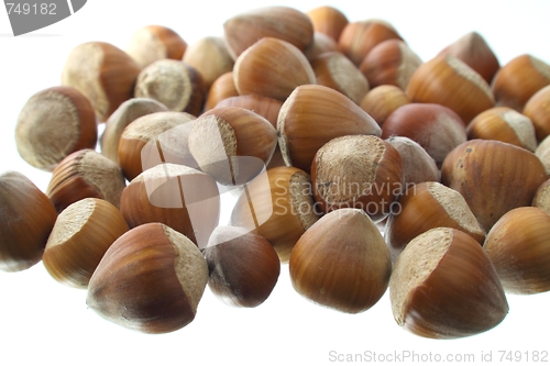 Image of Hazel nuts