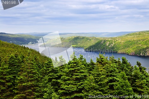 Image of Placentia Bay in Newfoundland