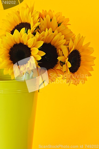 Image of Sunflowers in vase