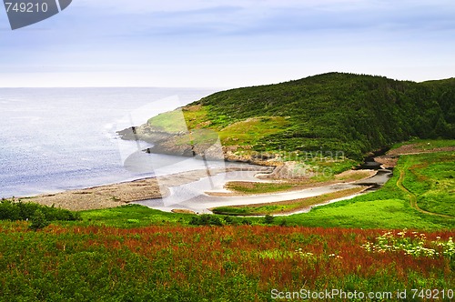 Image of Atlantic coast in Newfoundland