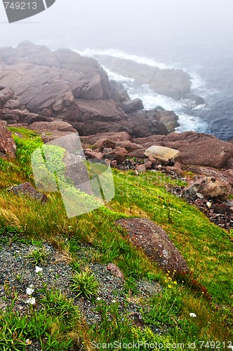 Image of Atlantic coast in Newfoundland