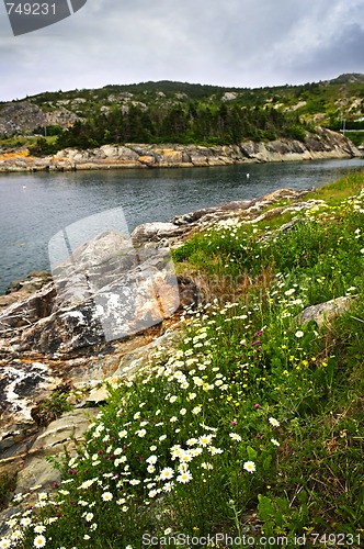 Image of Atlantic coast in Newfoundland