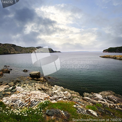 Image of Atlantic coast in Newfoundland