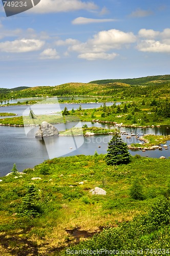 Image of Beautiful lake shore in Newfoundland