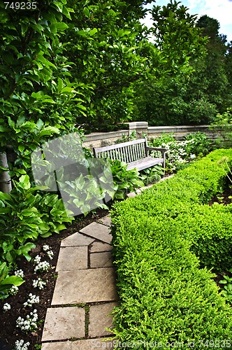 Image of Lush green garden