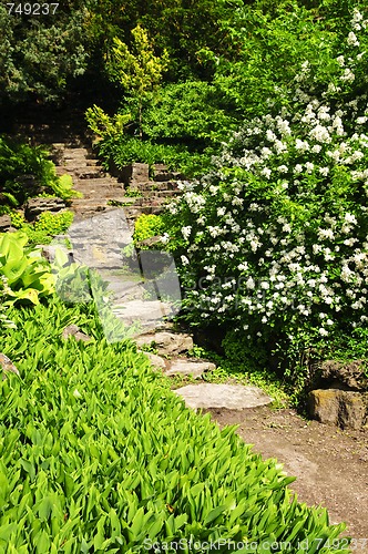 Image of Natural stone garden steps