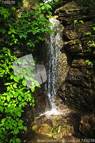 Image of Waterfall in forest