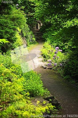 Image of Forest path