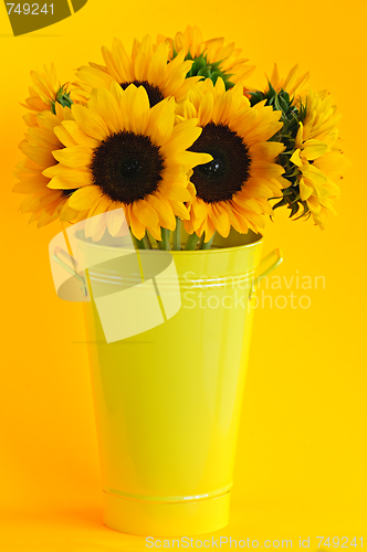 Image of Sunflowers in vase