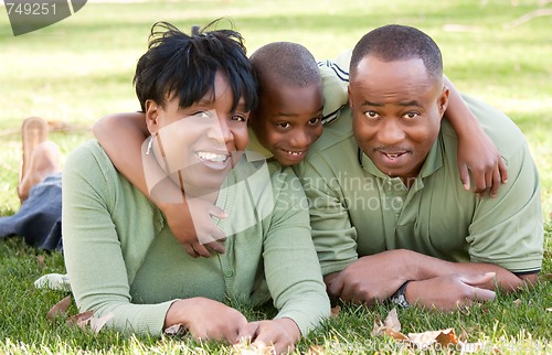 Image of African American Family in the Park