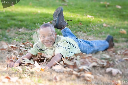 Image of Young African American Boy in the Park