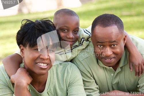Image of African American Family in the Park