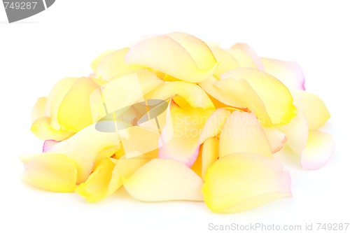 Image of rose petals