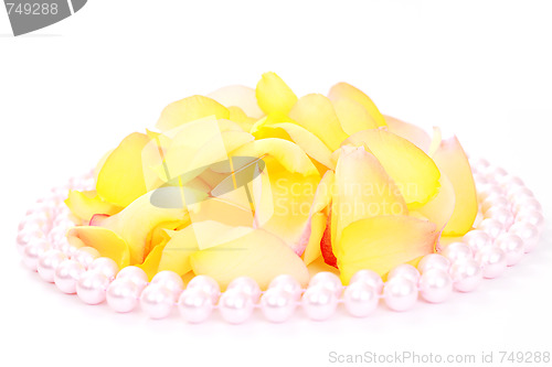 Image of rose petals