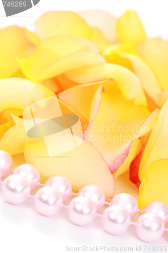 Image of rose petals