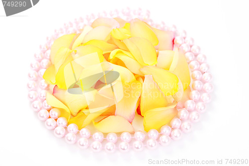 Image of rose petals