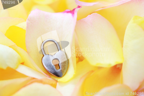 Image of padlock