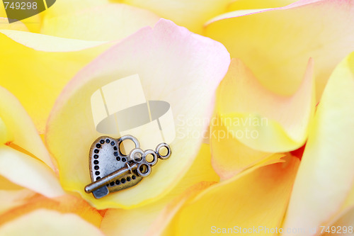 Image of padlock