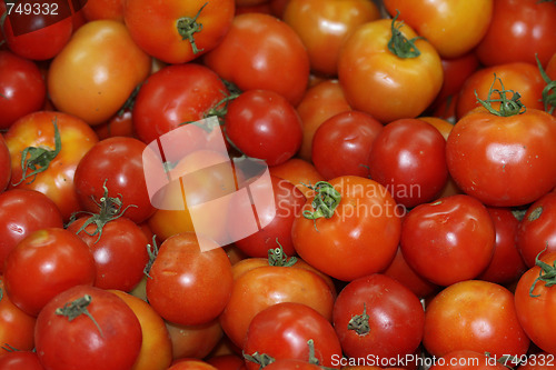 Image of tomatoes