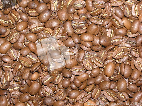 Image of coffee beans