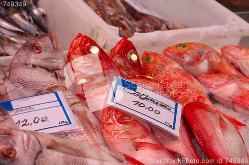 Image of Fresh fish