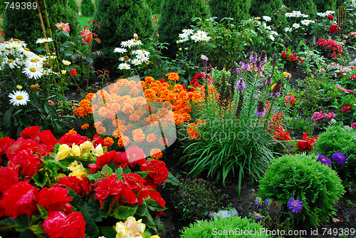 Image of flowers and trees in garden