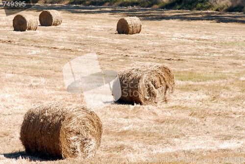 Image of Fall Hay Bale