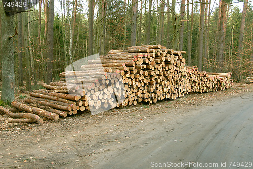 Image of pile of wood