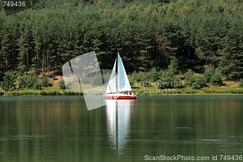 Image of SAILING ON THE BAY