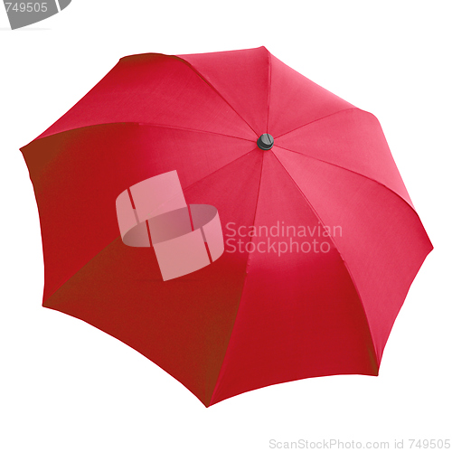 Image of Umbrella