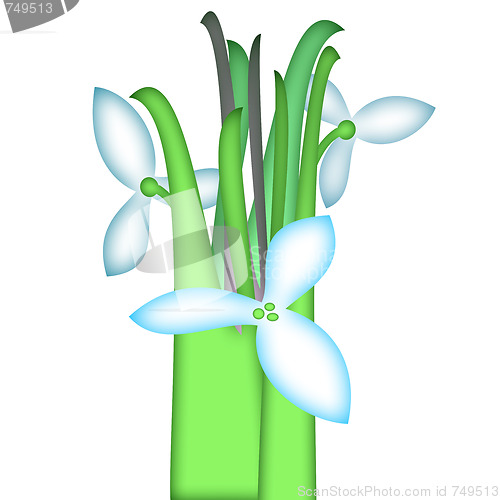 Image of spring
