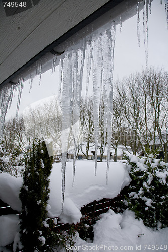 Image of Icicles