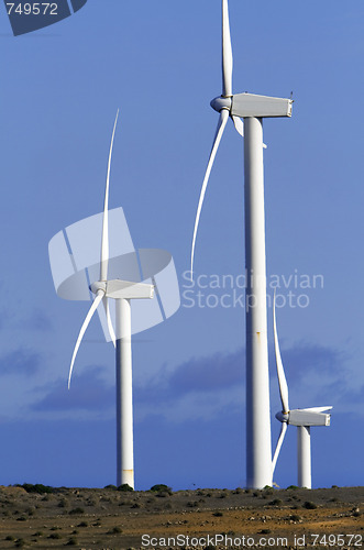 Image of Eolic - wind turbine