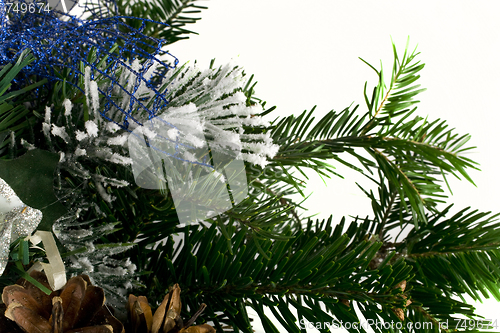 Image of Christmas tree