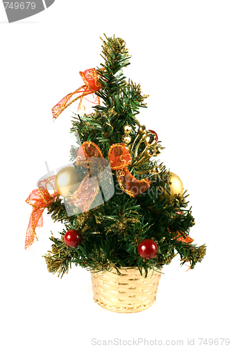 Image of Christmas tree