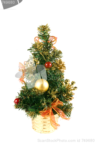 Image of Christmas tree