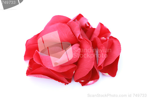 Image of red rose petals