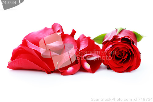 Image of red rose petals