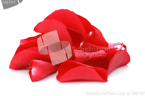 Image of red rose petals