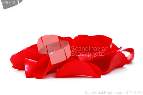 Image of red rose petals