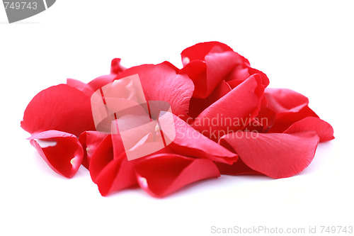 Image of red rose petals