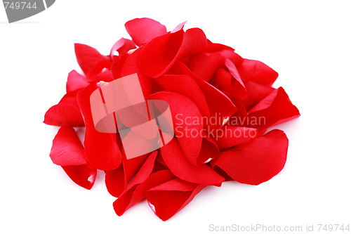 Image of red rose petals