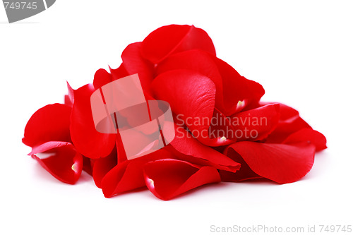 Image of red rose petals