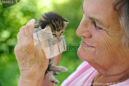 Image of Senior woman holding little kitten