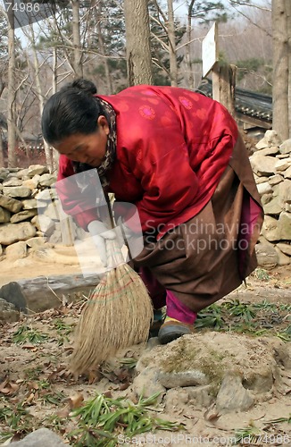 Image of Old Korean woman gardening