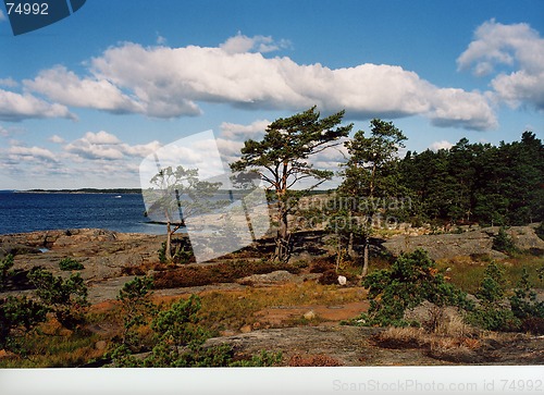 Image of wind
