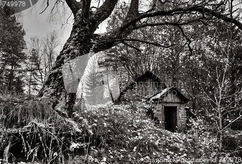 Image of November on farm Garavishki.