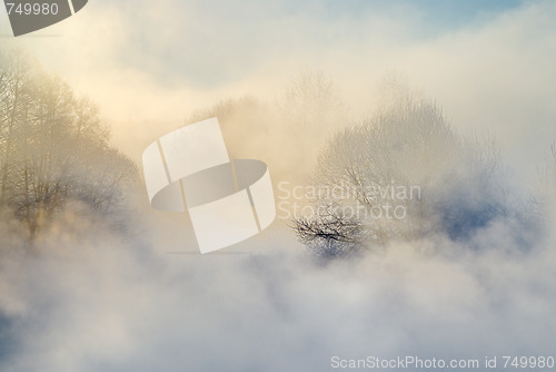 Image of Frosty morning
