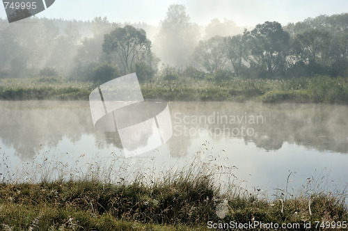 Image of Morning on the river